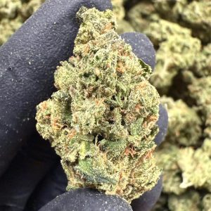 Blue Dream THCA Flower Cheap Pounds