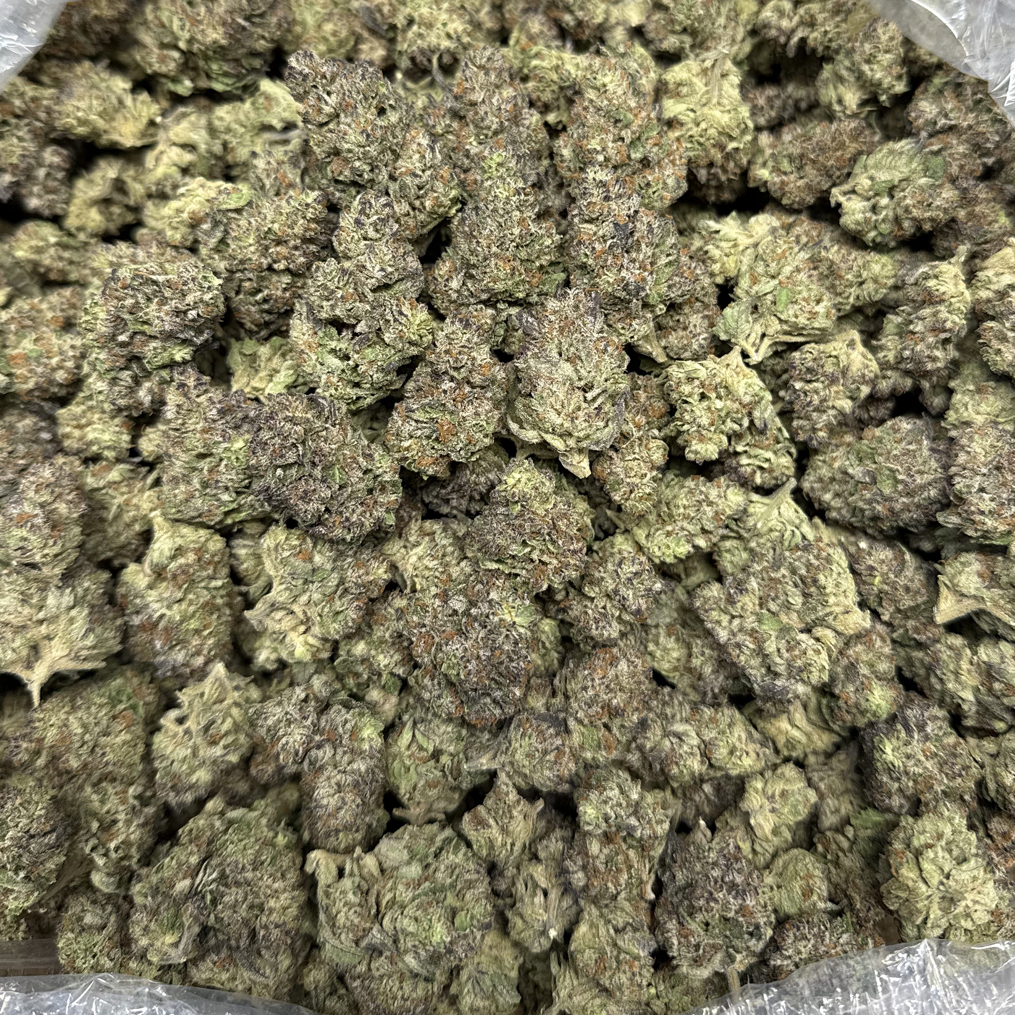 Ice Cream Cake THCA Flower Pounds for Sale