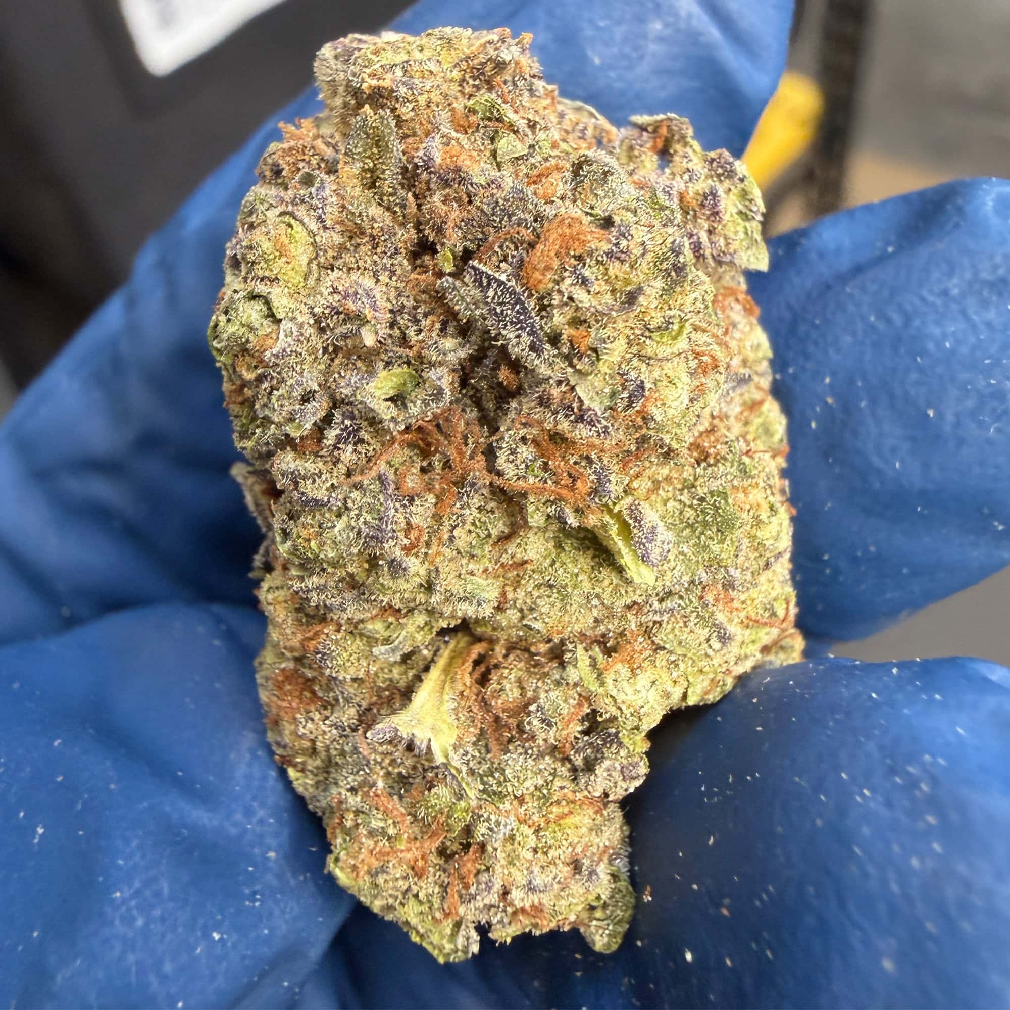 Ice Cream Cake THCA Flower for Sale
