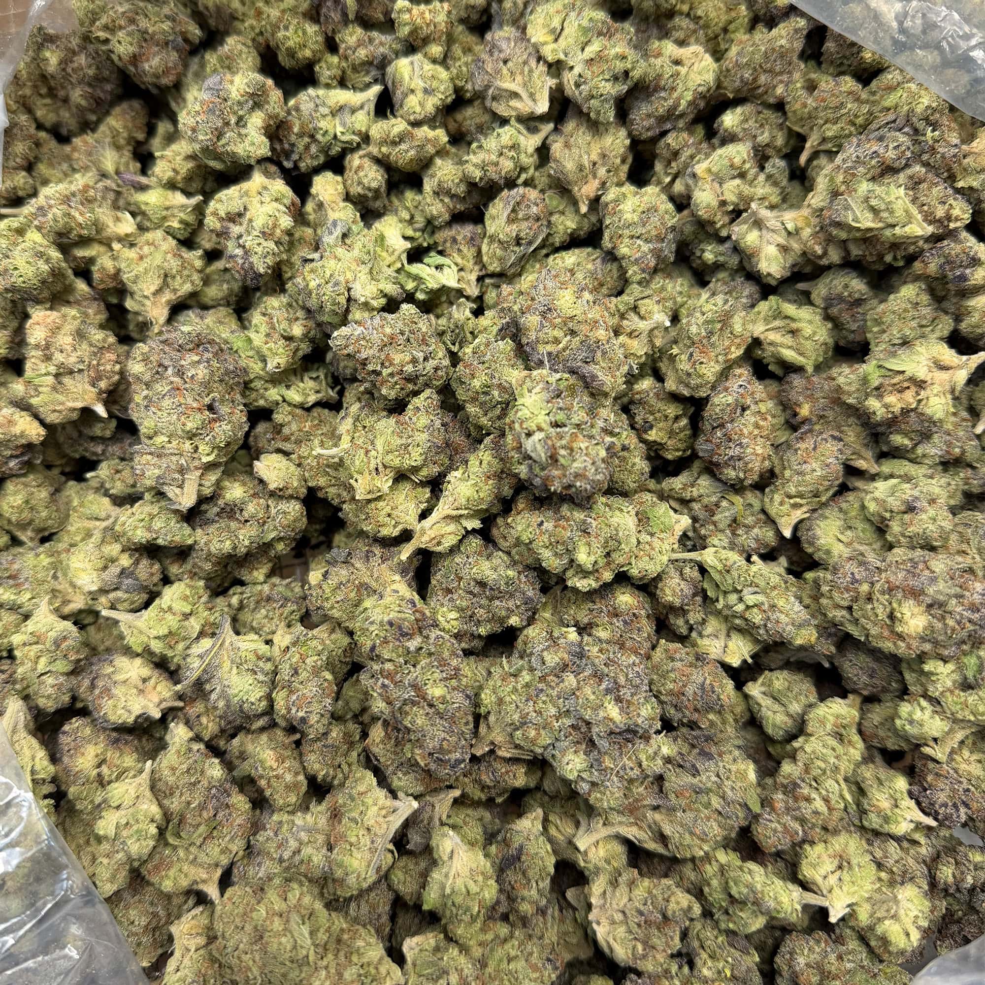 Ice Cream Cake Cheap THCA Flower Pounds