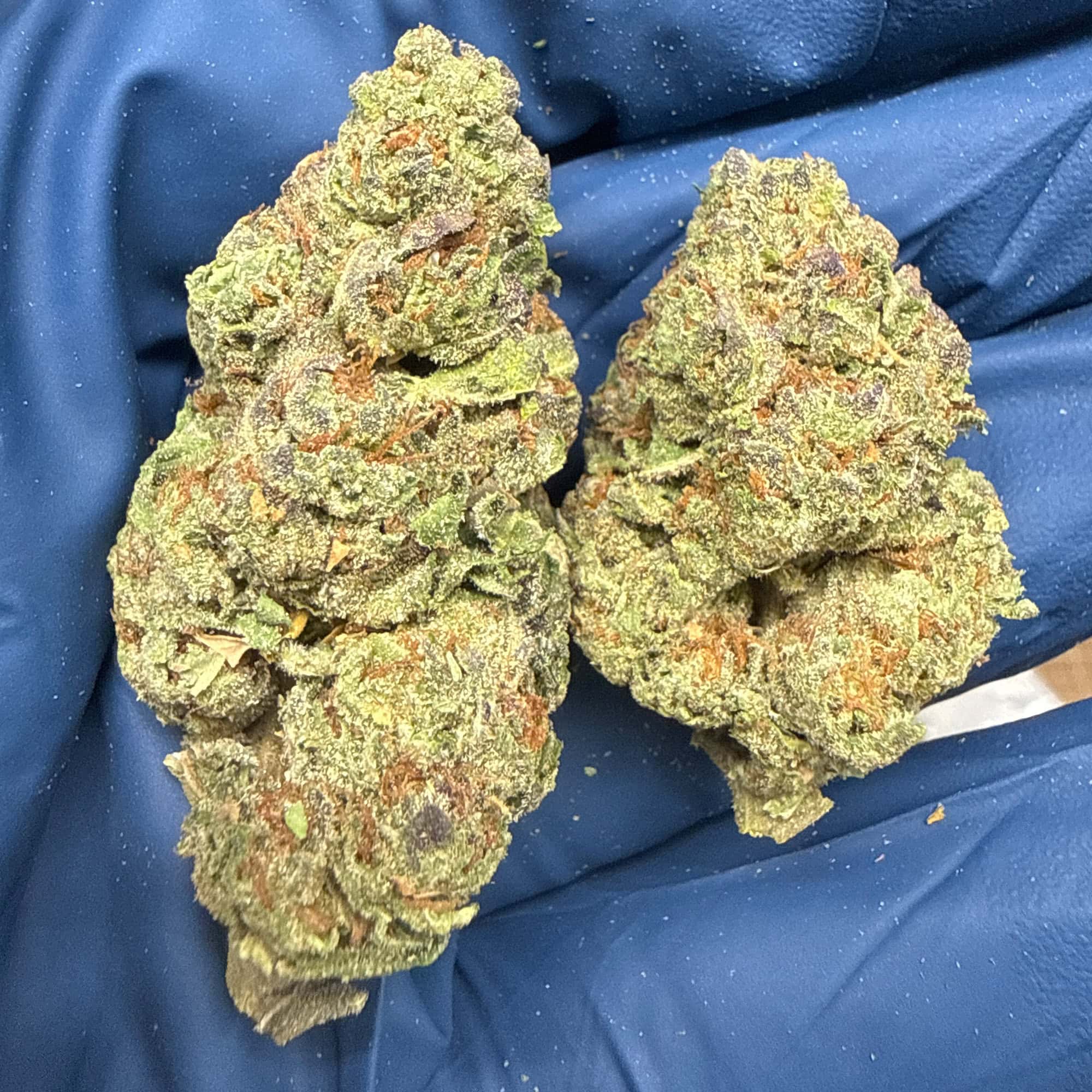 Ice Cream Cake Cheap THCA Flower