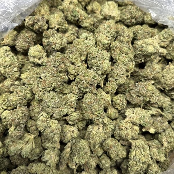 Ice Cream Cake THCA Flower Bulk Pounds