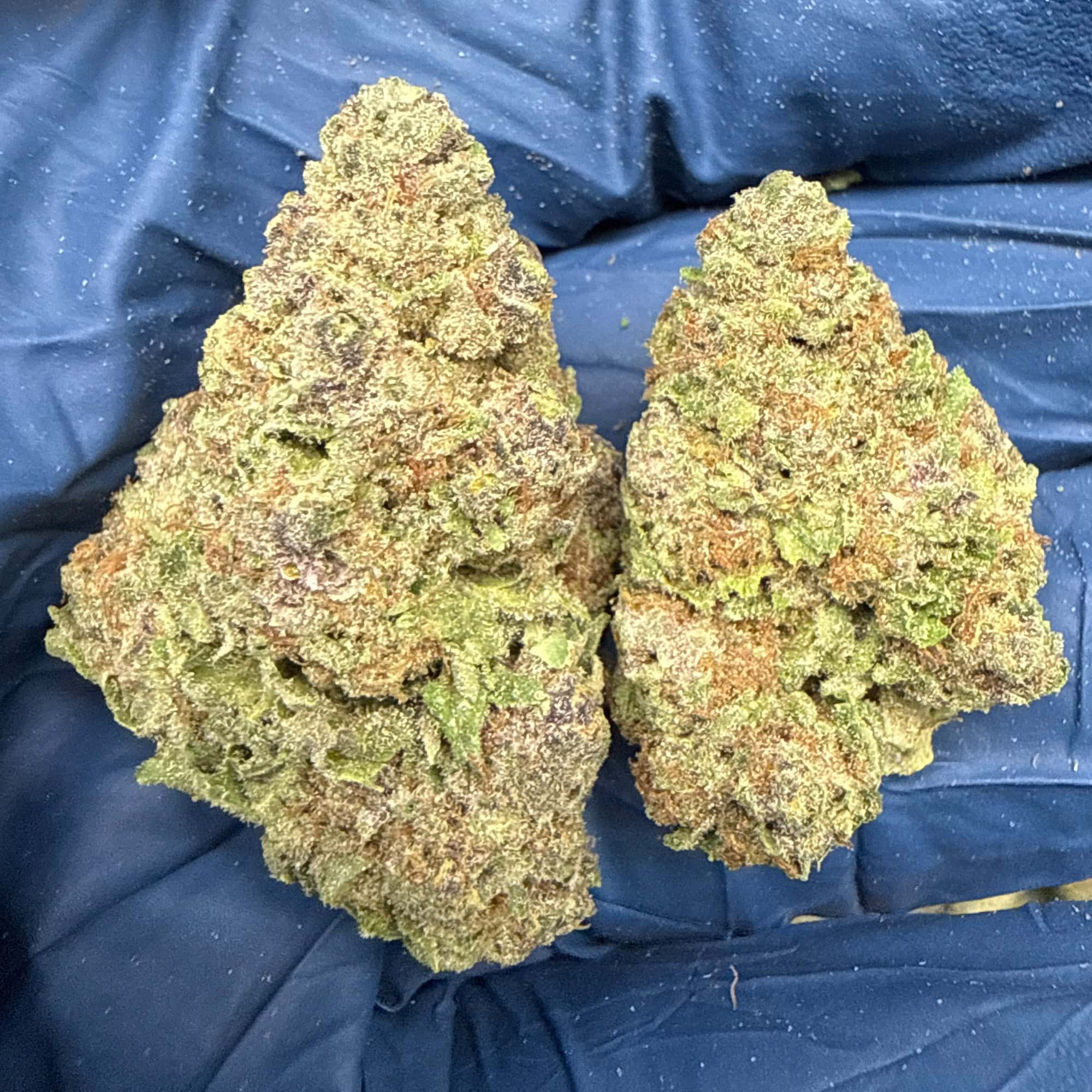 Trop Cherry THCA Flower for Sale