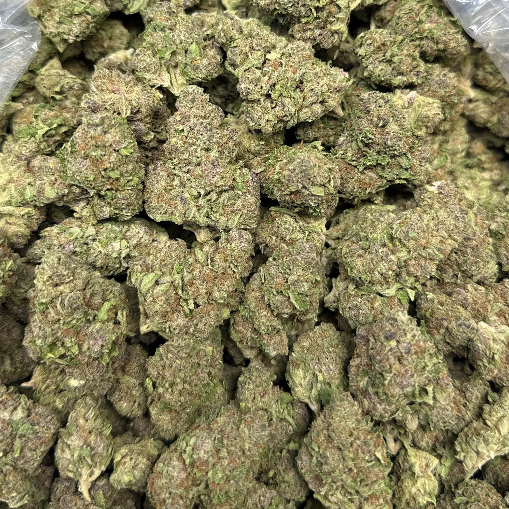 Trop Cherry Cheap THCA Flower Pounds