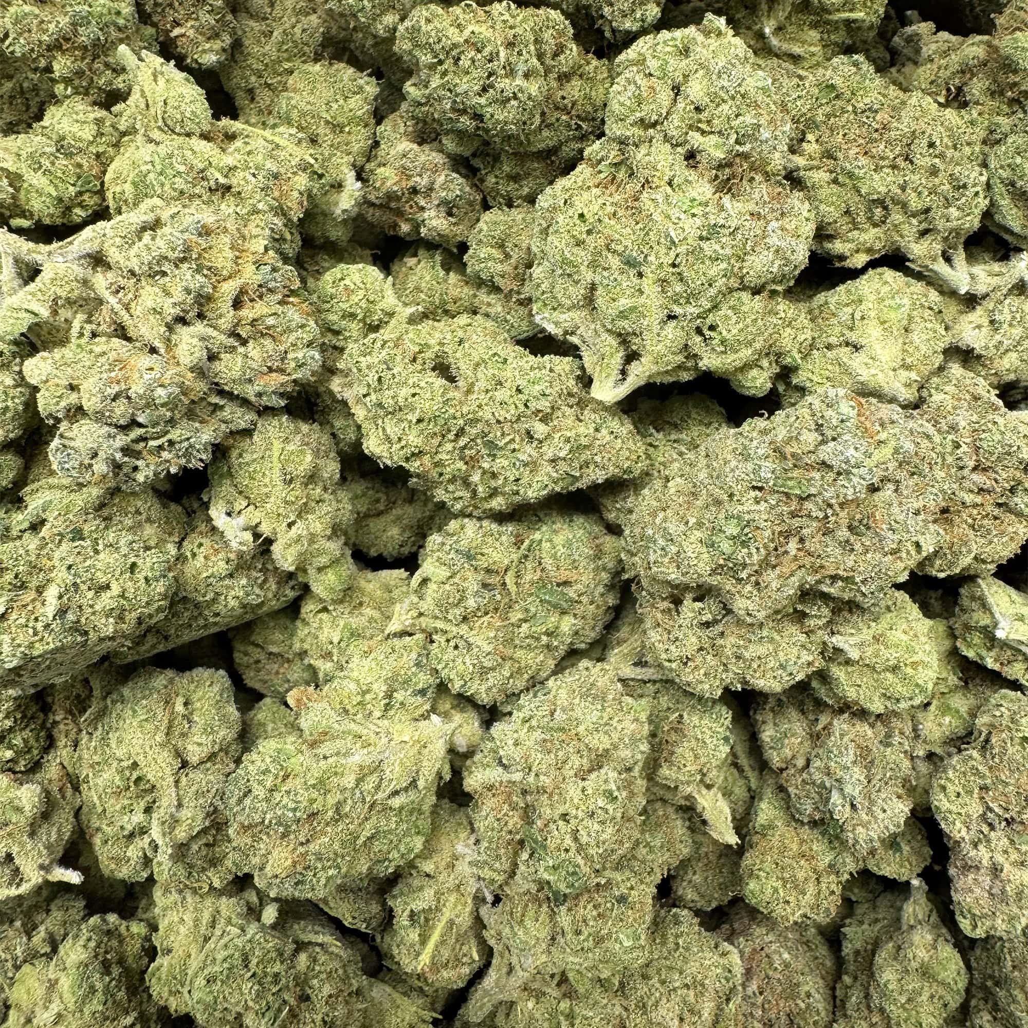 Cheap THCA Flower Pounds Romulan Strain