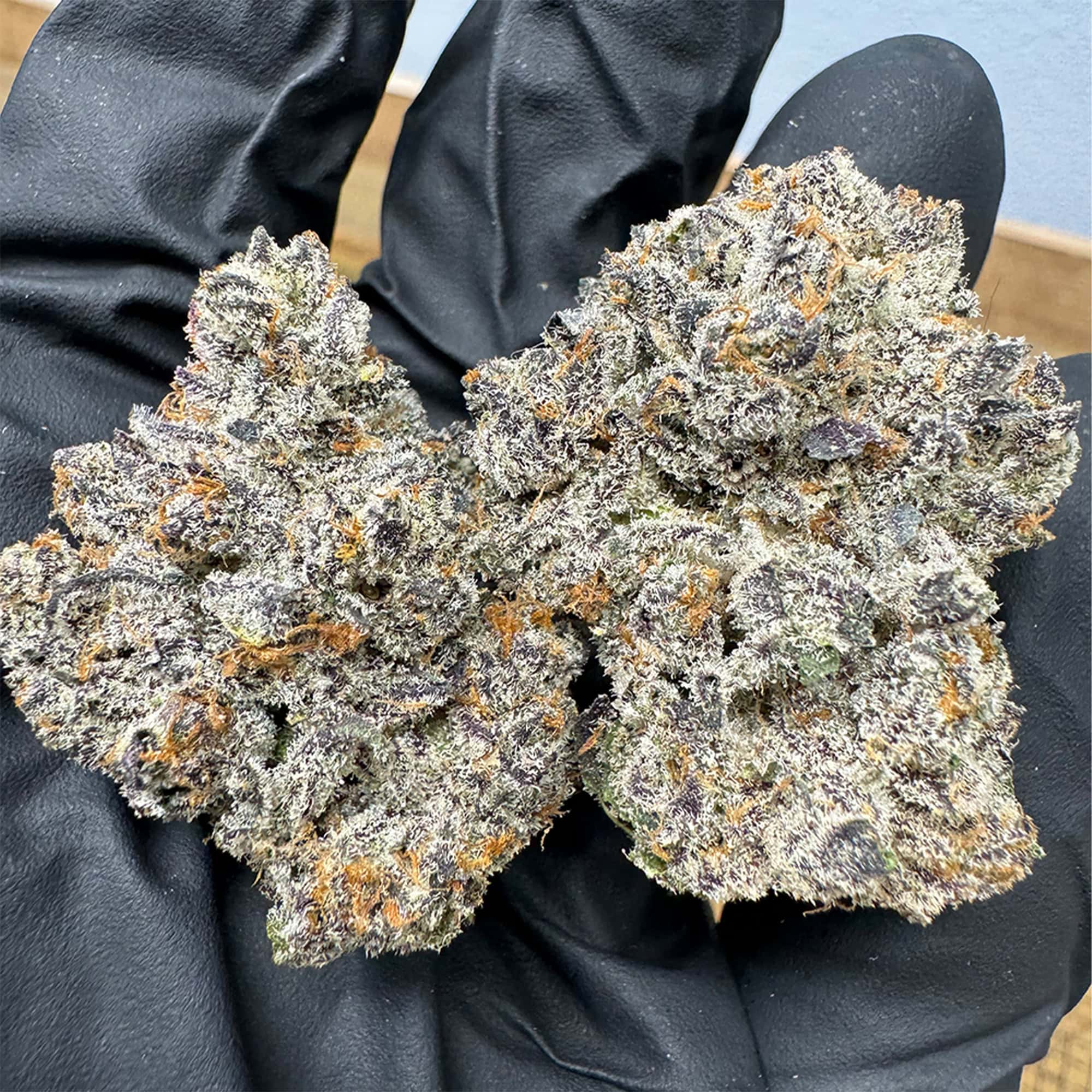 Dantes Inferno Indica THCA Flower Wholesale