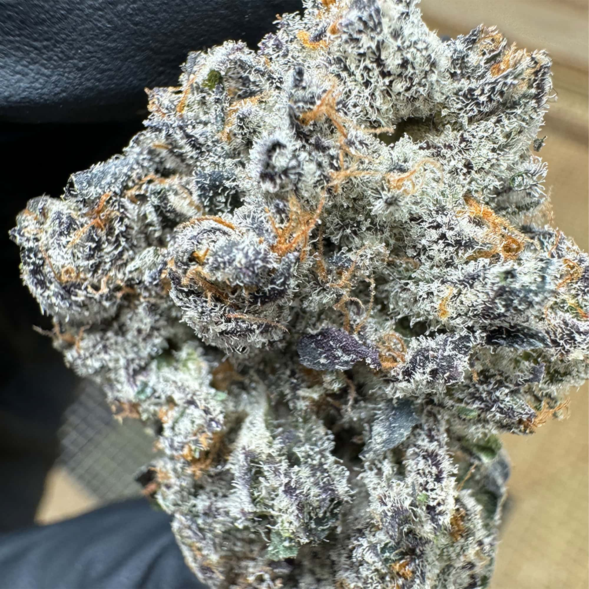 Dantes Inferno Wholesale THCA Flower Pounds