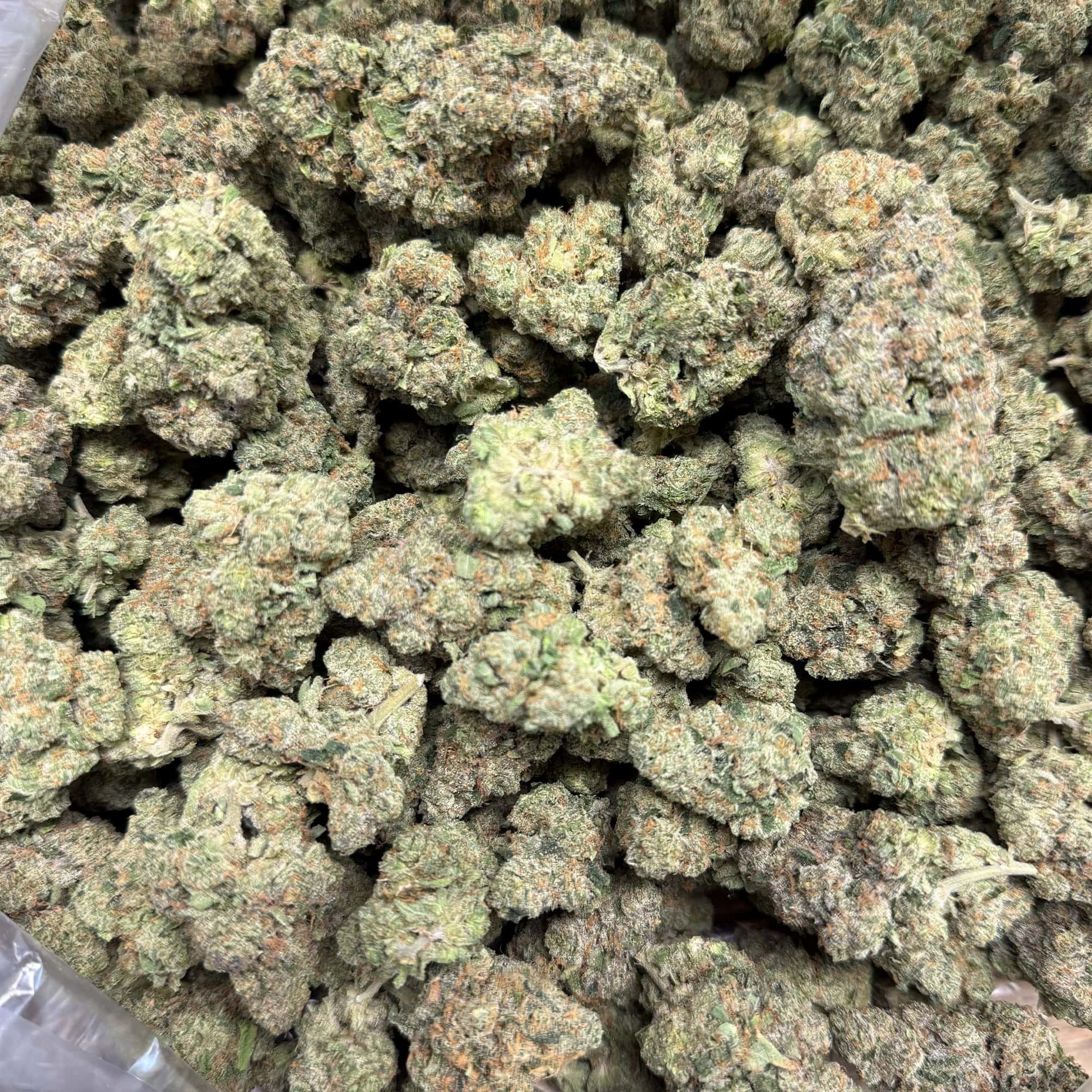 Guava Cookies Buy THCA Flower Bulk Pounds