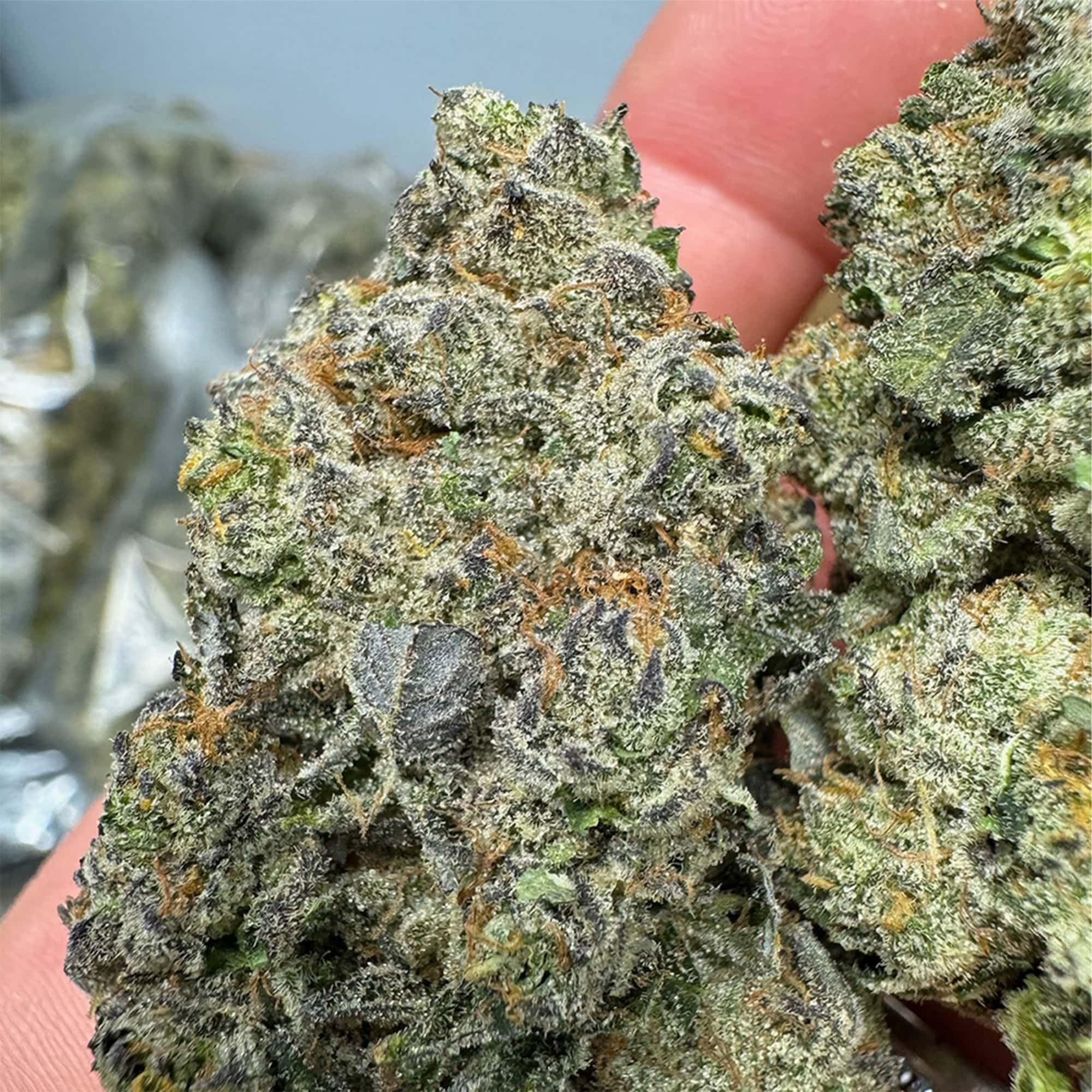Guava Cookies Cheap THCA Flower Pounds