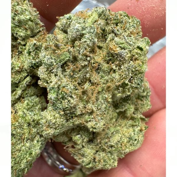 Romulan Indica THCA Flower Pounds