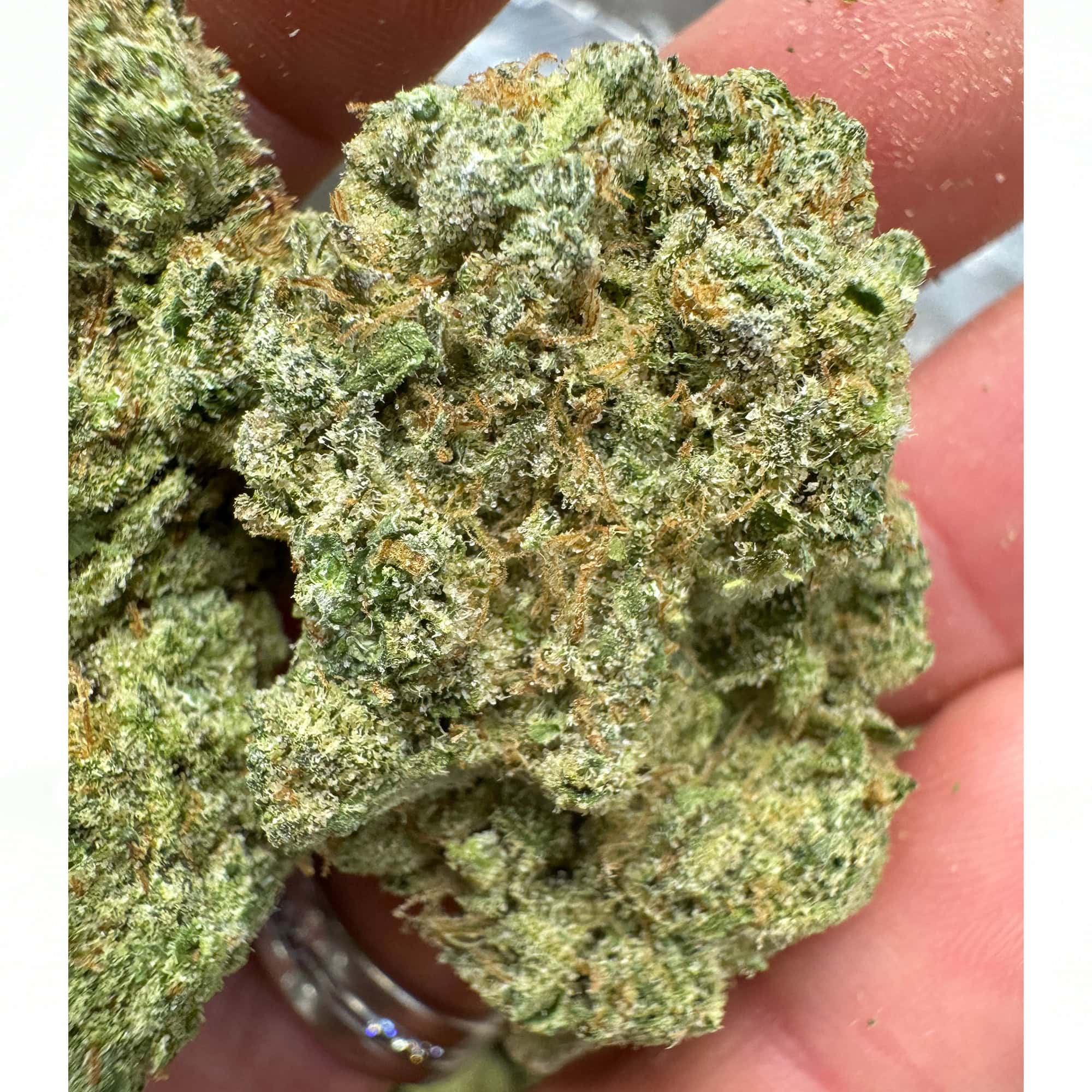 Romulan Indica THCA Flower Pounds