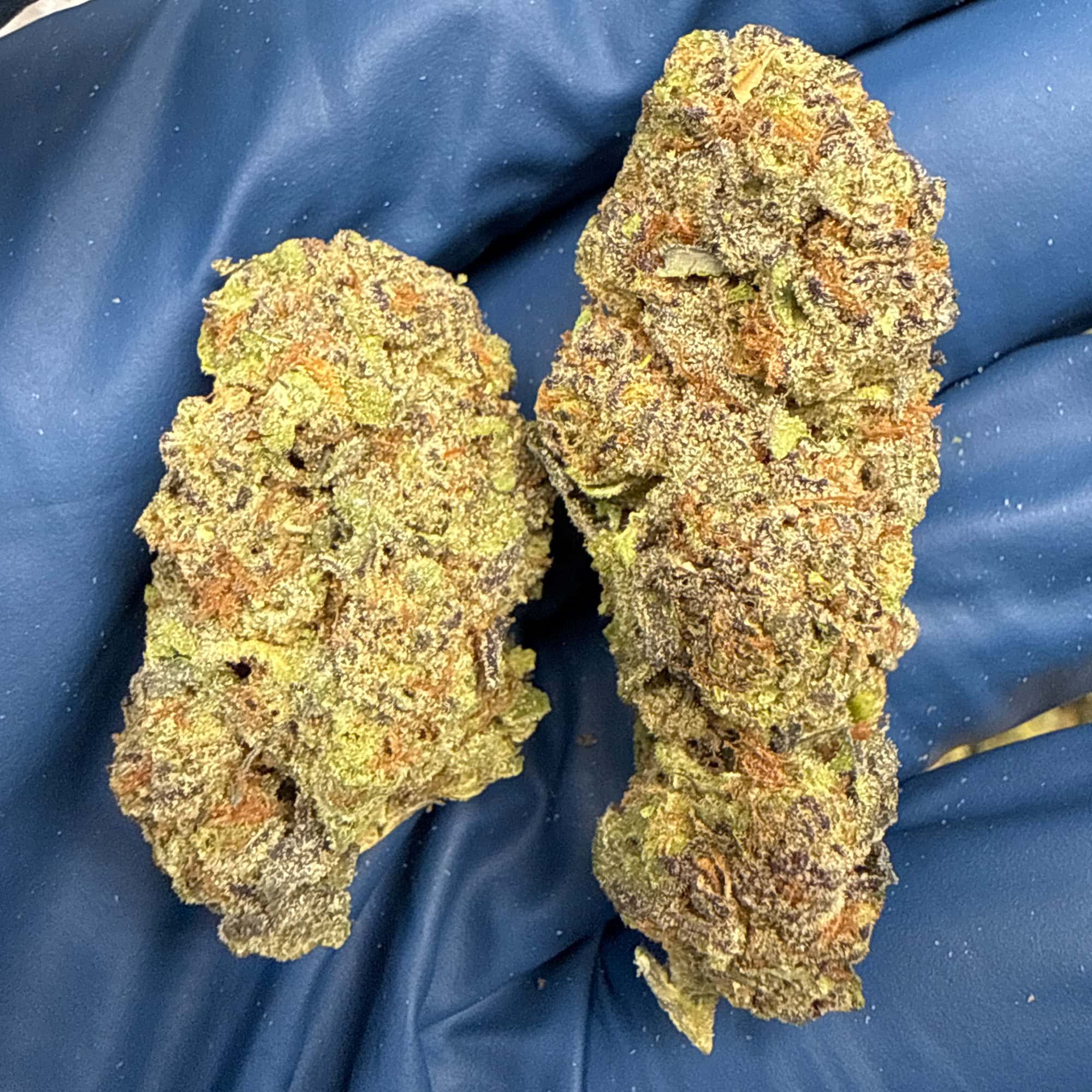Gush Mintz THCA Flower For Sale