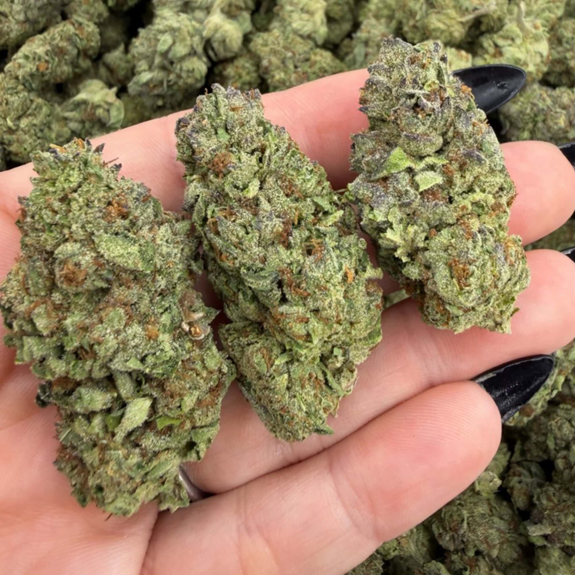 Grape Ape THCA Flower Cheap