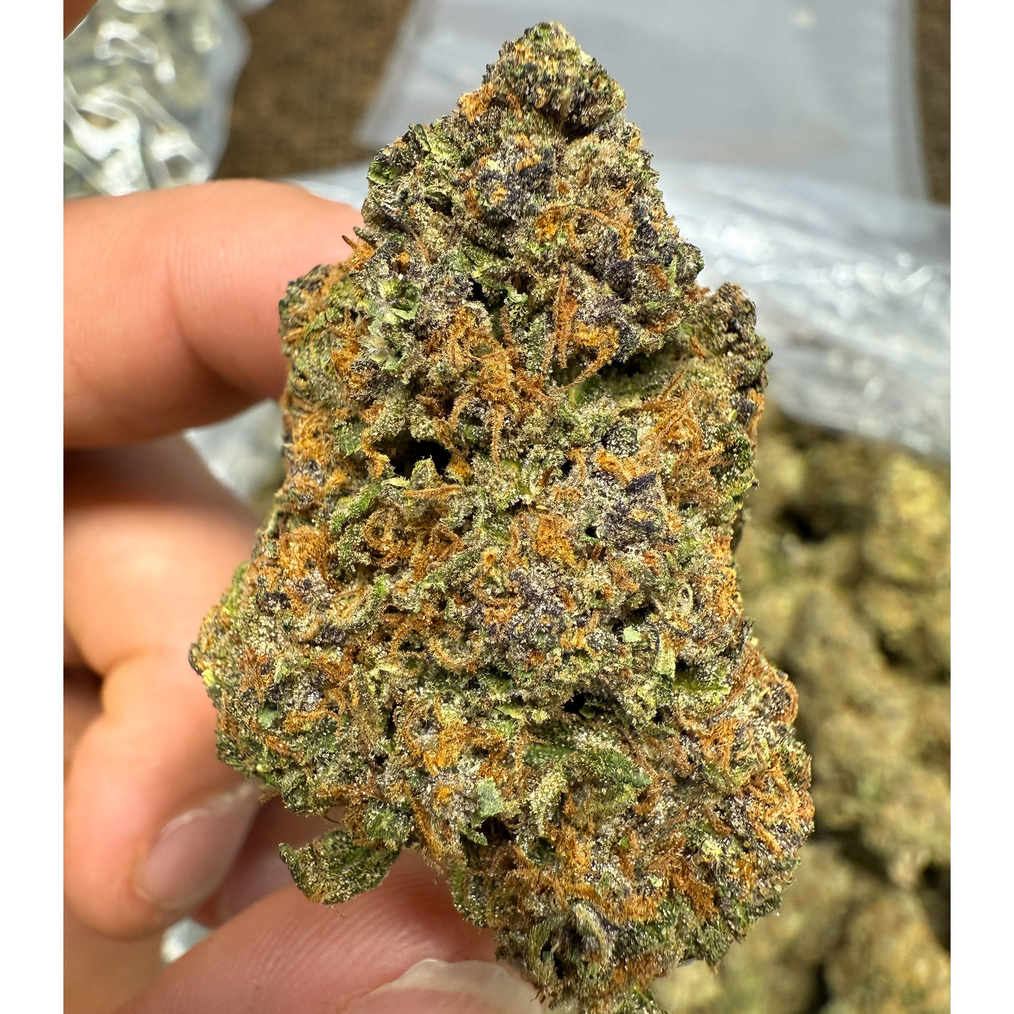 Jager THCA Flower Pounds for Sale