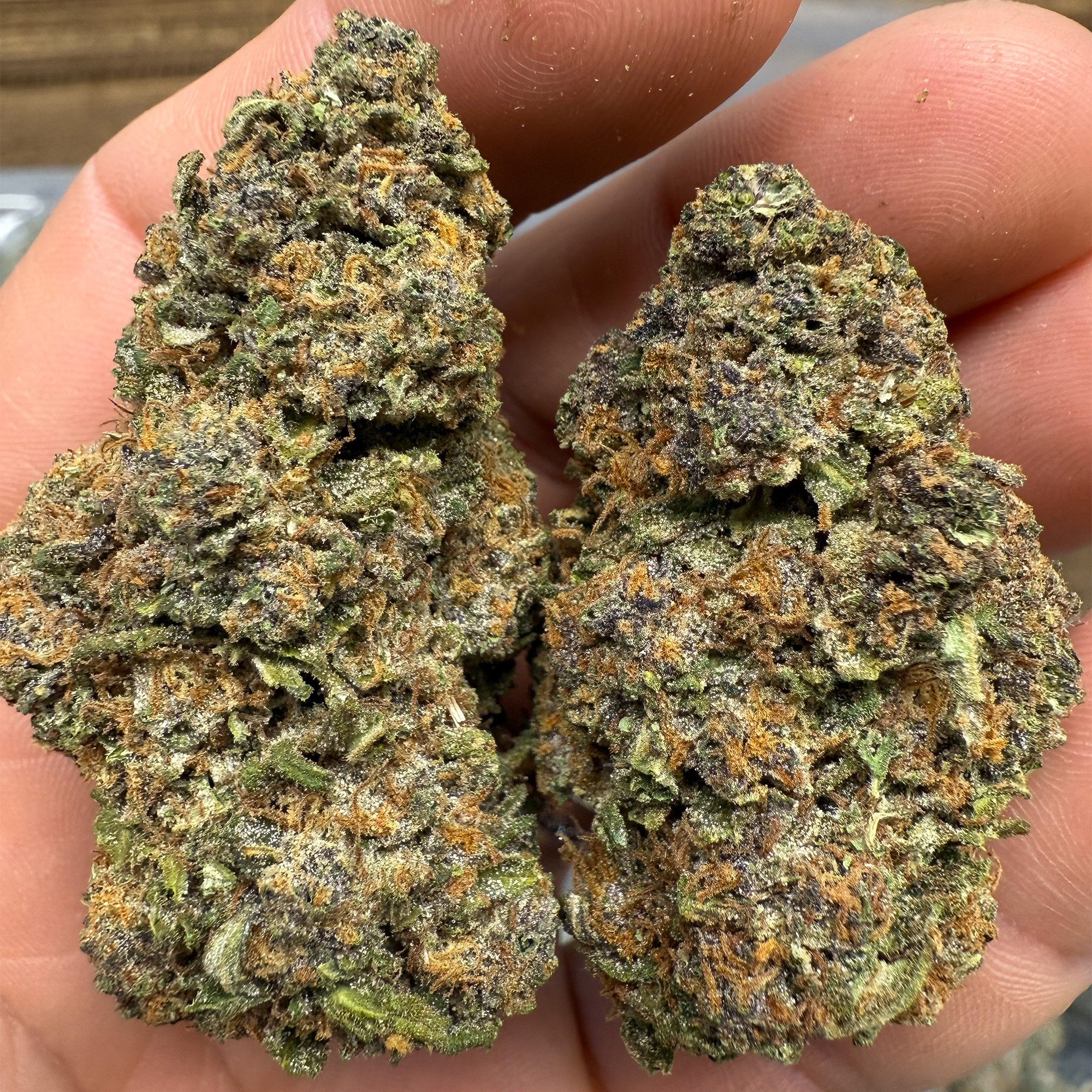 Jager Cheap THCA Flower Pounds