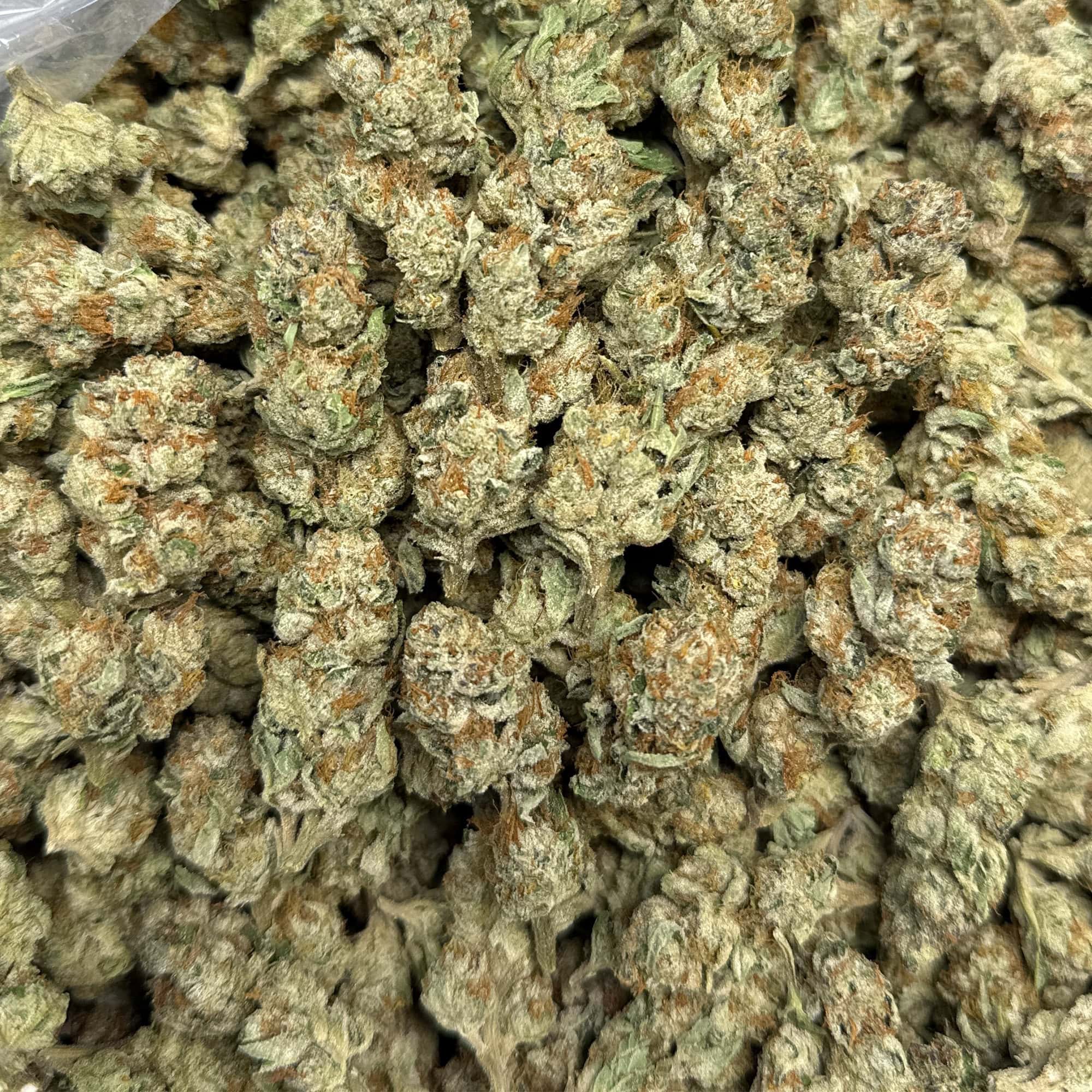 Kush Mintz THCA Flower for Sale