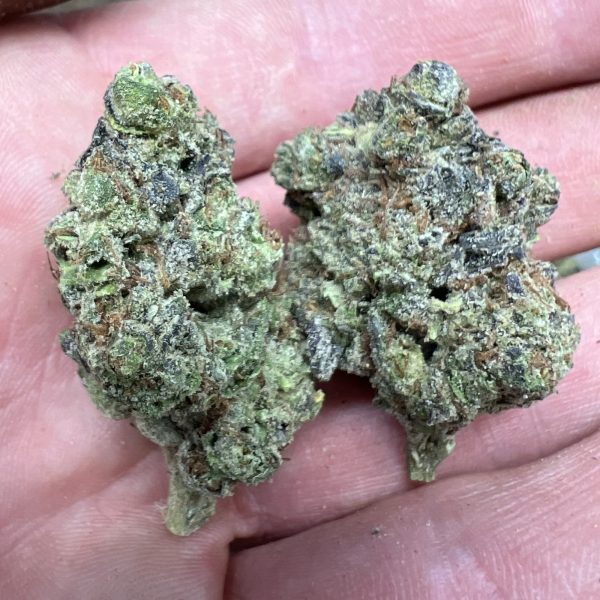 Kush Mintz Cheap THCA Flower Pounds