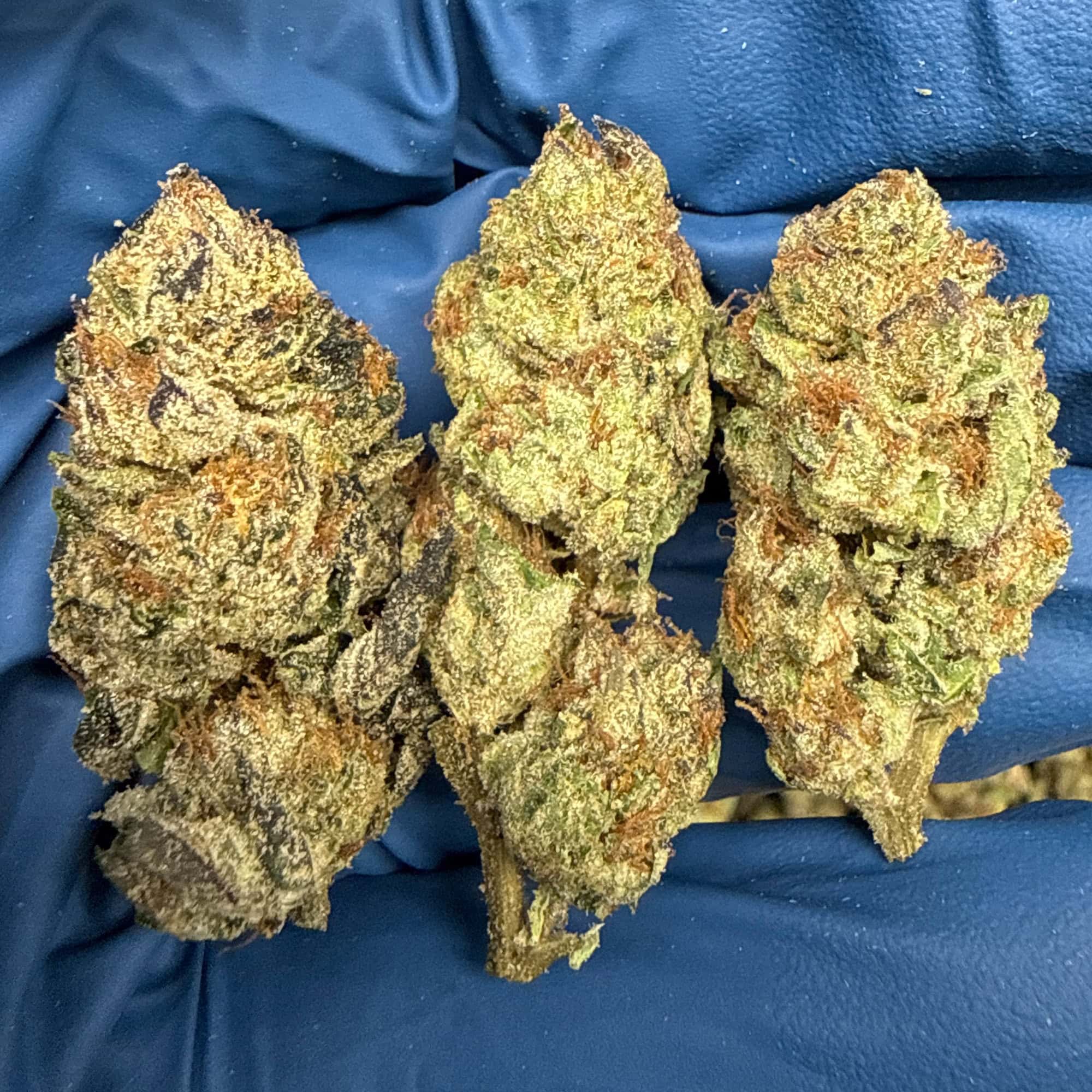 Kush Mintz Cheap THCA Flower Pounds