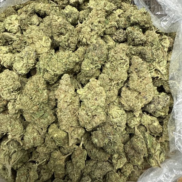 Kush Mintz THCA Flower Bulk Pounds