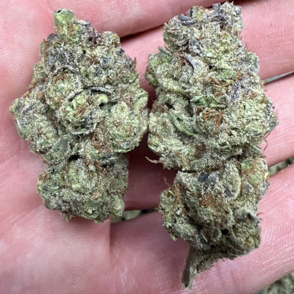 Kush Mintz THCA Flower Bulk Wholesale