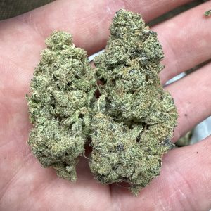 Kush Mintz THCA Flower for Sale