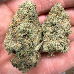 Mimosa Bulk THCA Flower for Sale