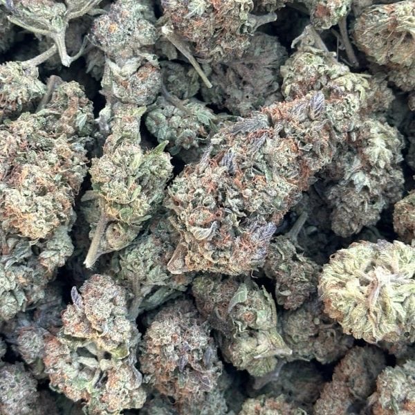 Mochi Cheap THCA Flower Pounds