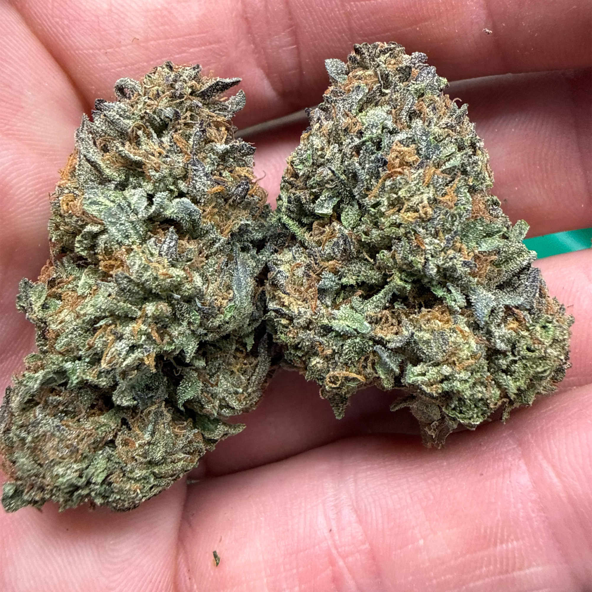 Mochi THCA Flower Pounds For Sale