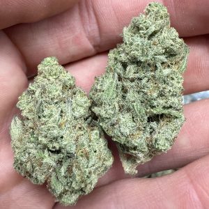 Papaya Punch THCA Flower Pounds for Sale