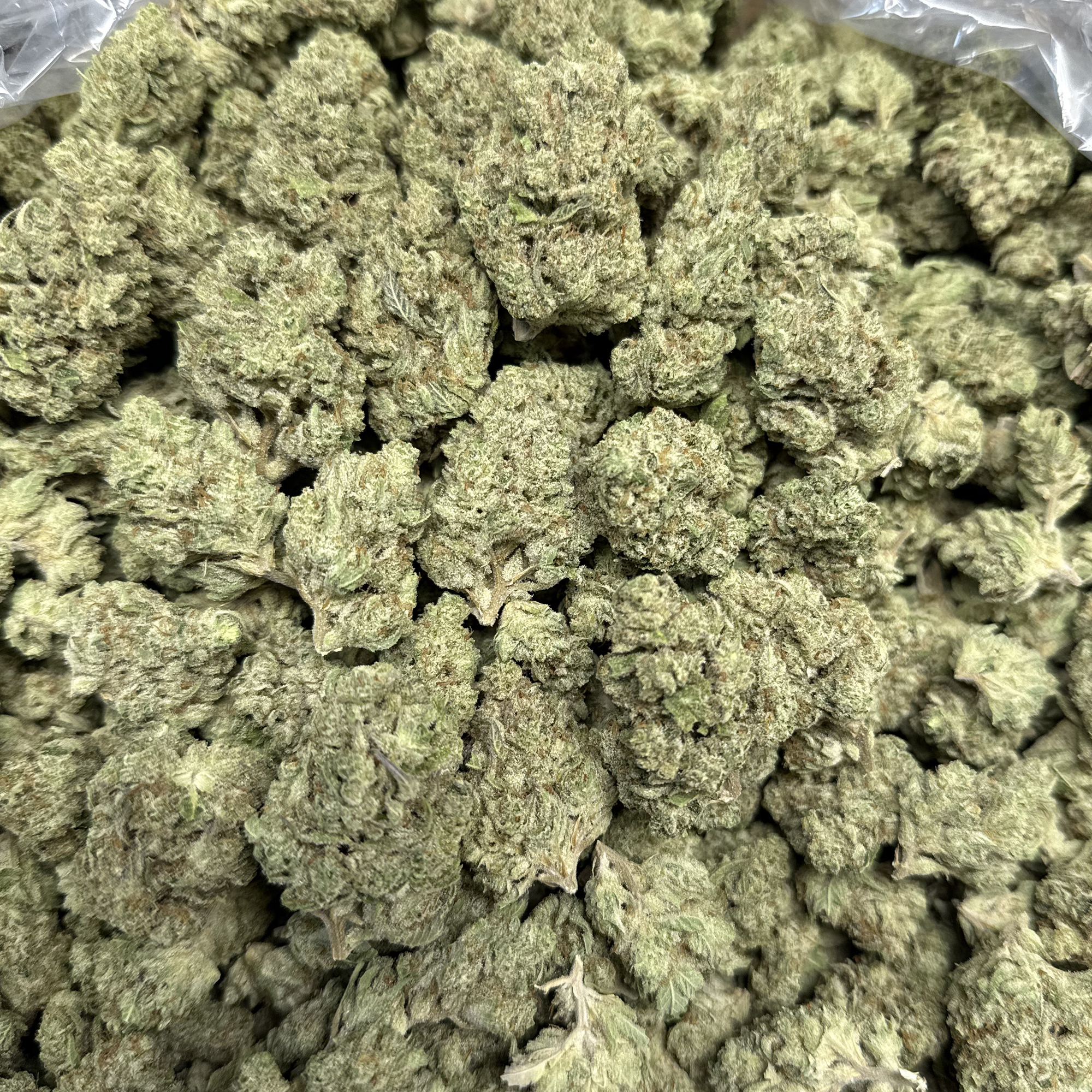 Papaya Punch THCA Flower Pounds