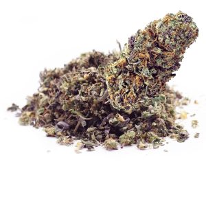 Blueberry Z THCA Shake Bulk