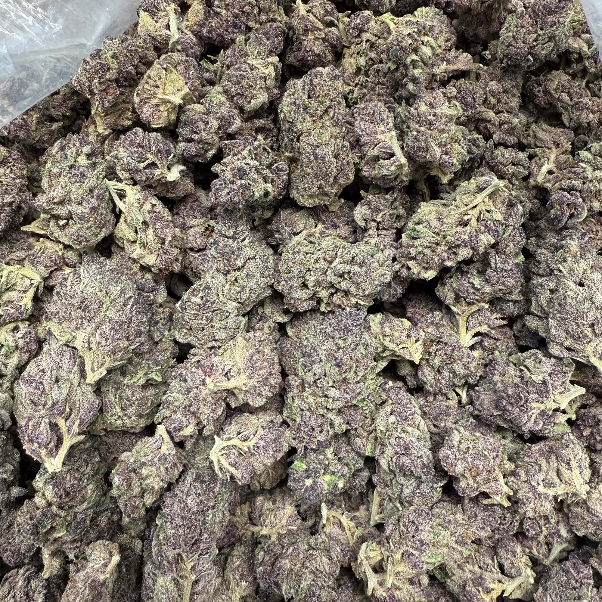 Gorilla Skunk THCA Bulk Flower