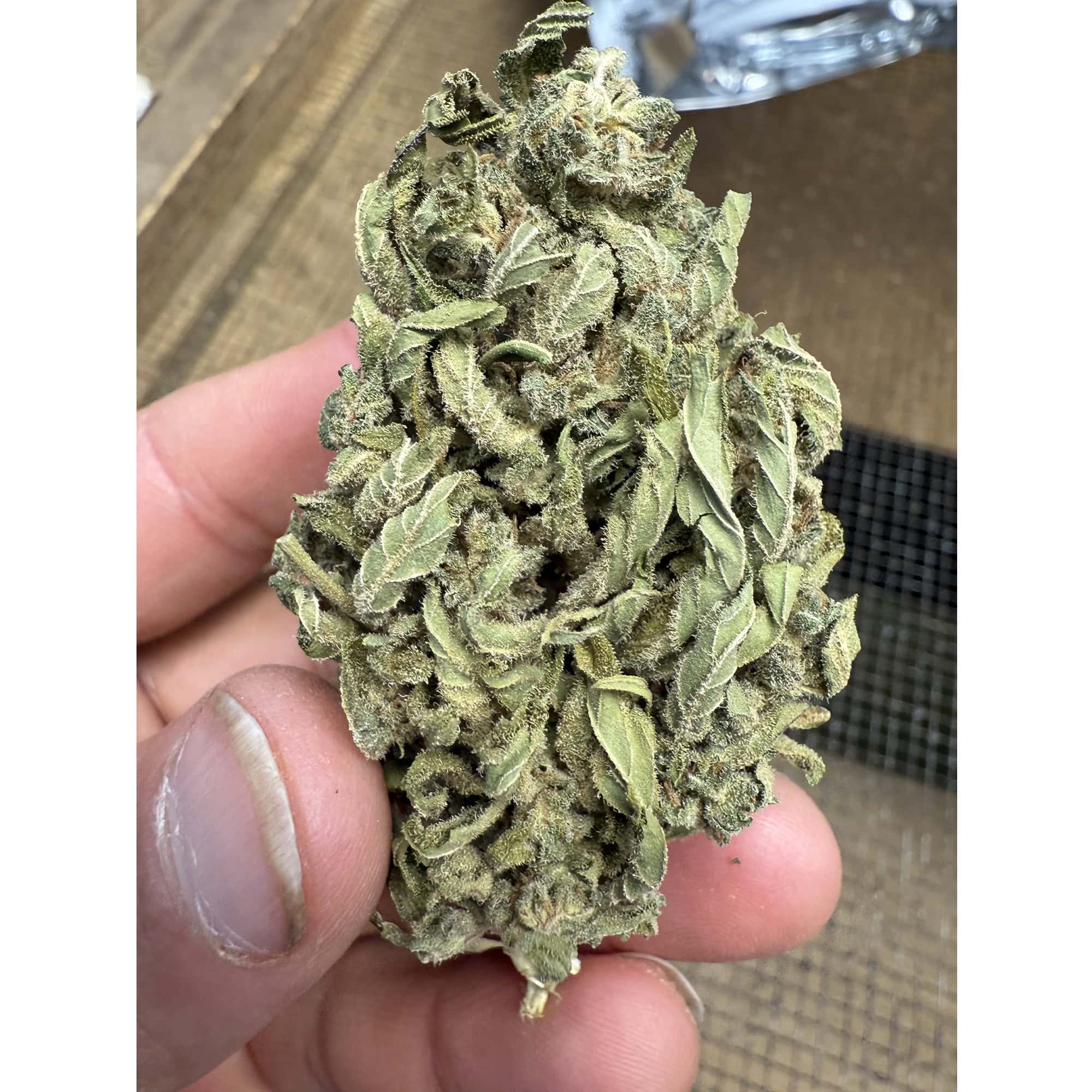Guava Tartz THCA Flower Pounds