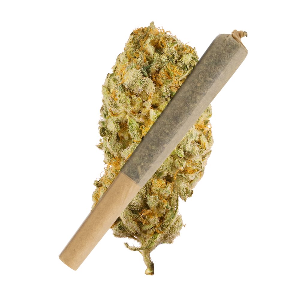 Jack Herer Bulk THCA Pre Rolls