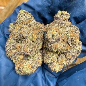 Wholesale THCA Flower Pounds Churro Gelato