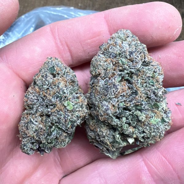 Churro Gelato THCA Flower - Image 2