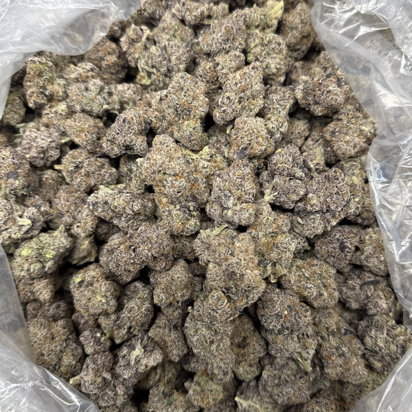 Gary Runtz THCA Flower Premium Bulk