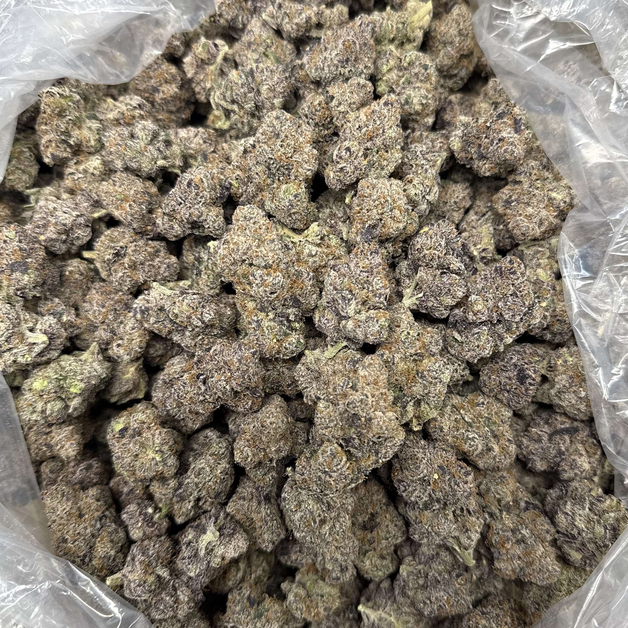 Gary Runtz THCA Flower Premium Bulk