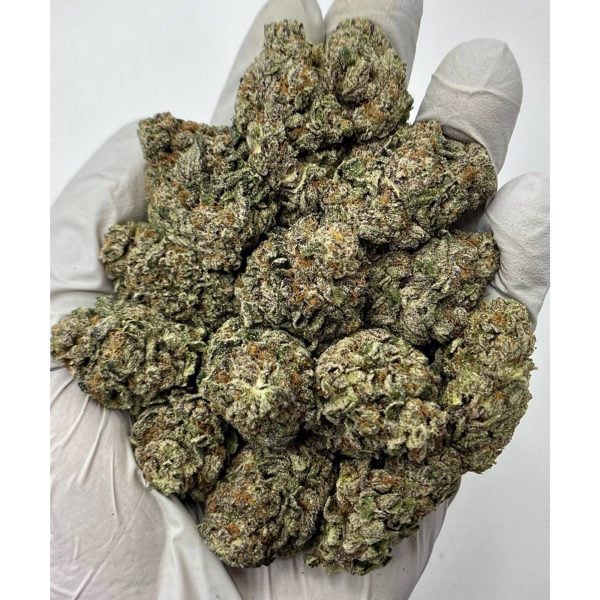 Hella Jelly THCA Flower Pounds for Sale