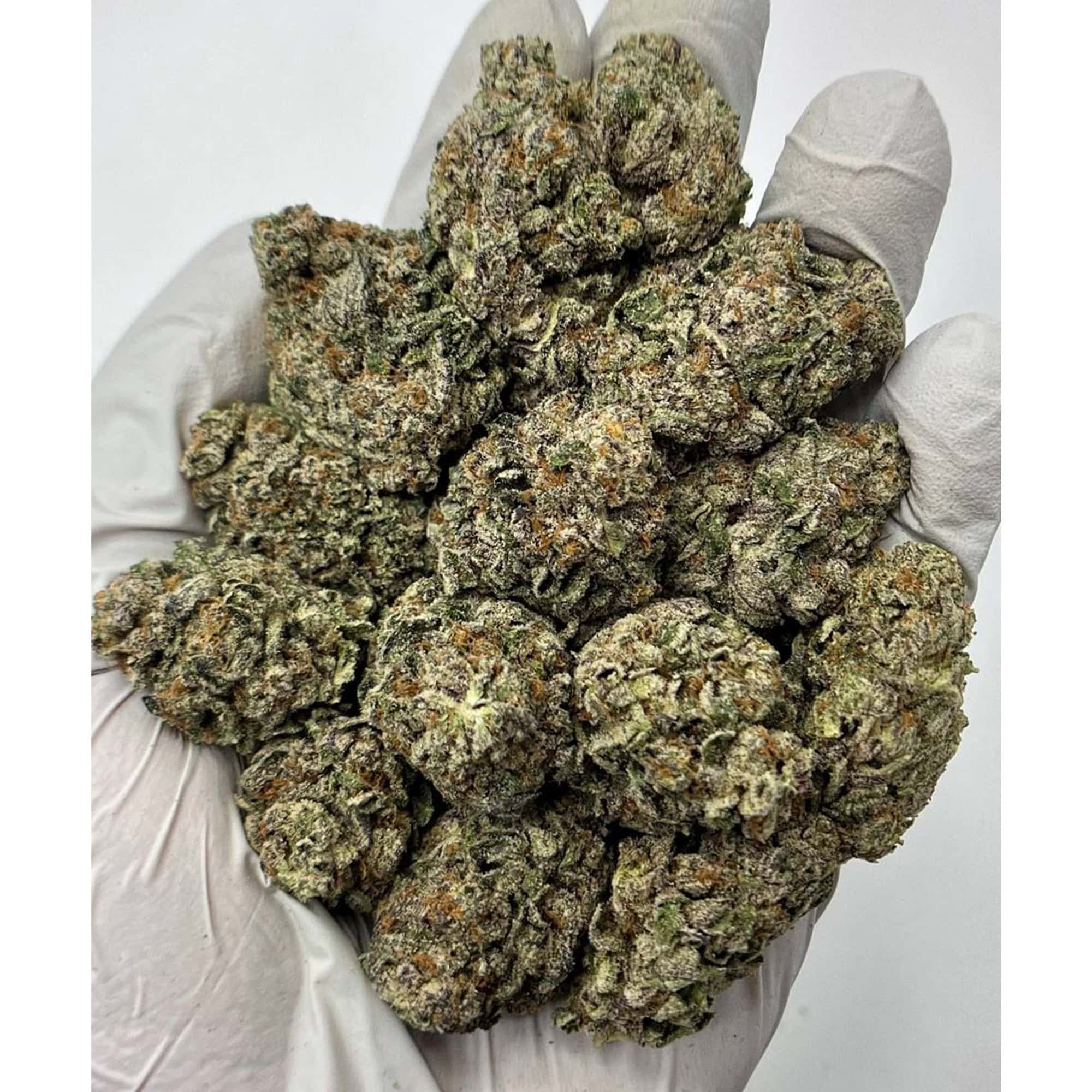 Hella Jelly THCA Flower Pounds for Sale