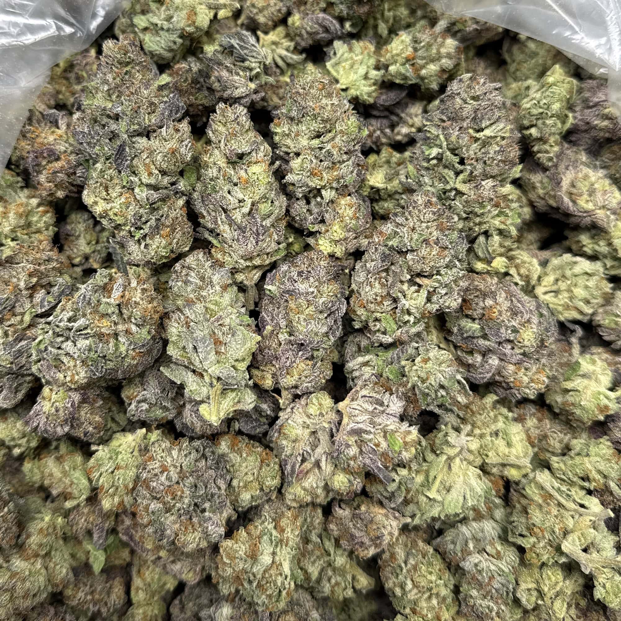 Black Amber Cheap THCA Flower Pounds