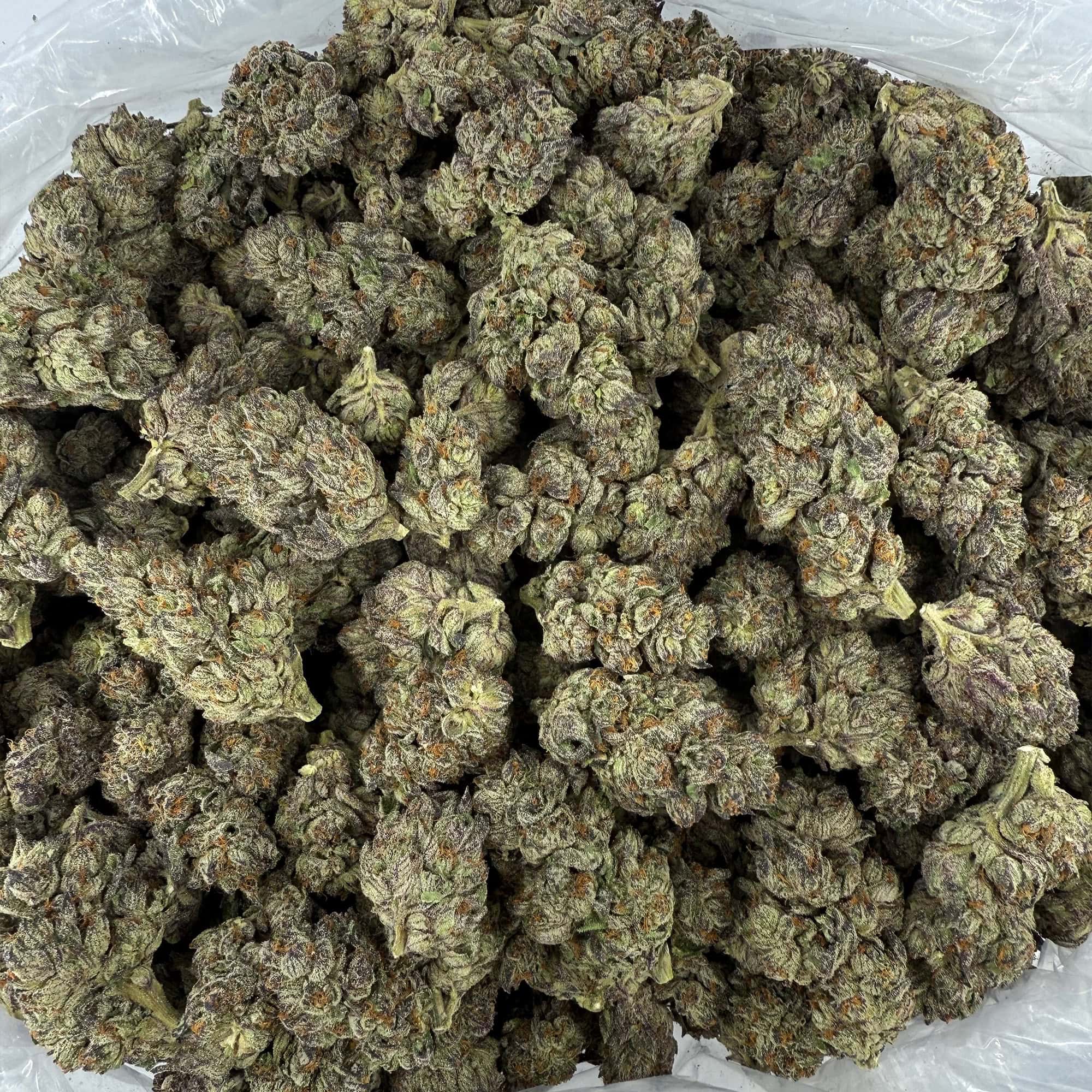 Black Amber THCA Flower Wholesale