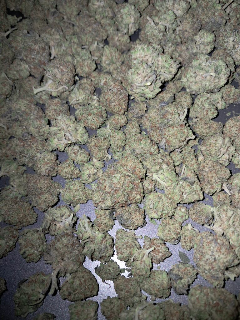 Image #1 from Anonymous