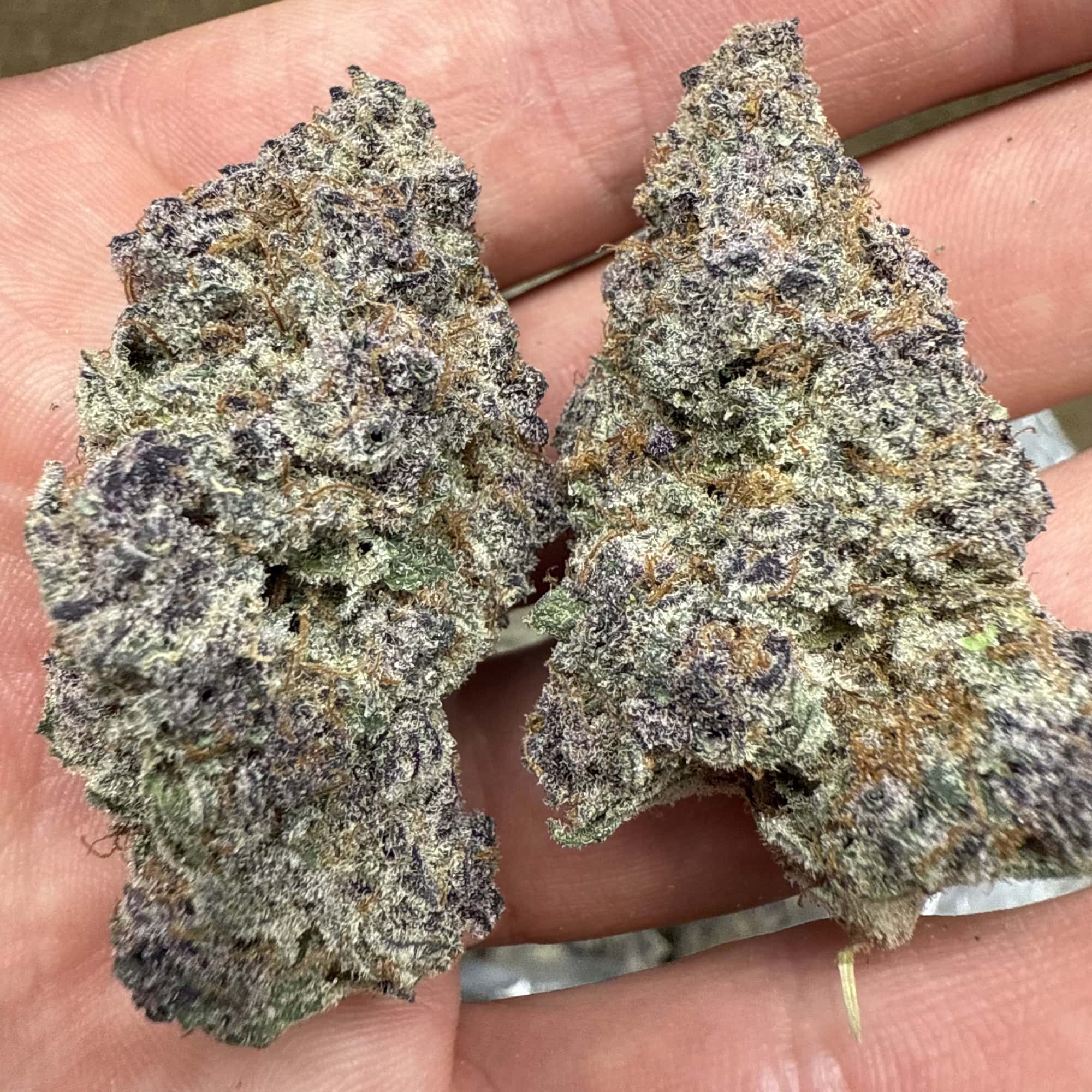 Blockberry THCA Pounds