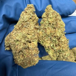 Gorilla Glue THCA Flower For Sale