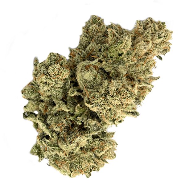 Gorilla Glue #4 THCA Flower Pounds