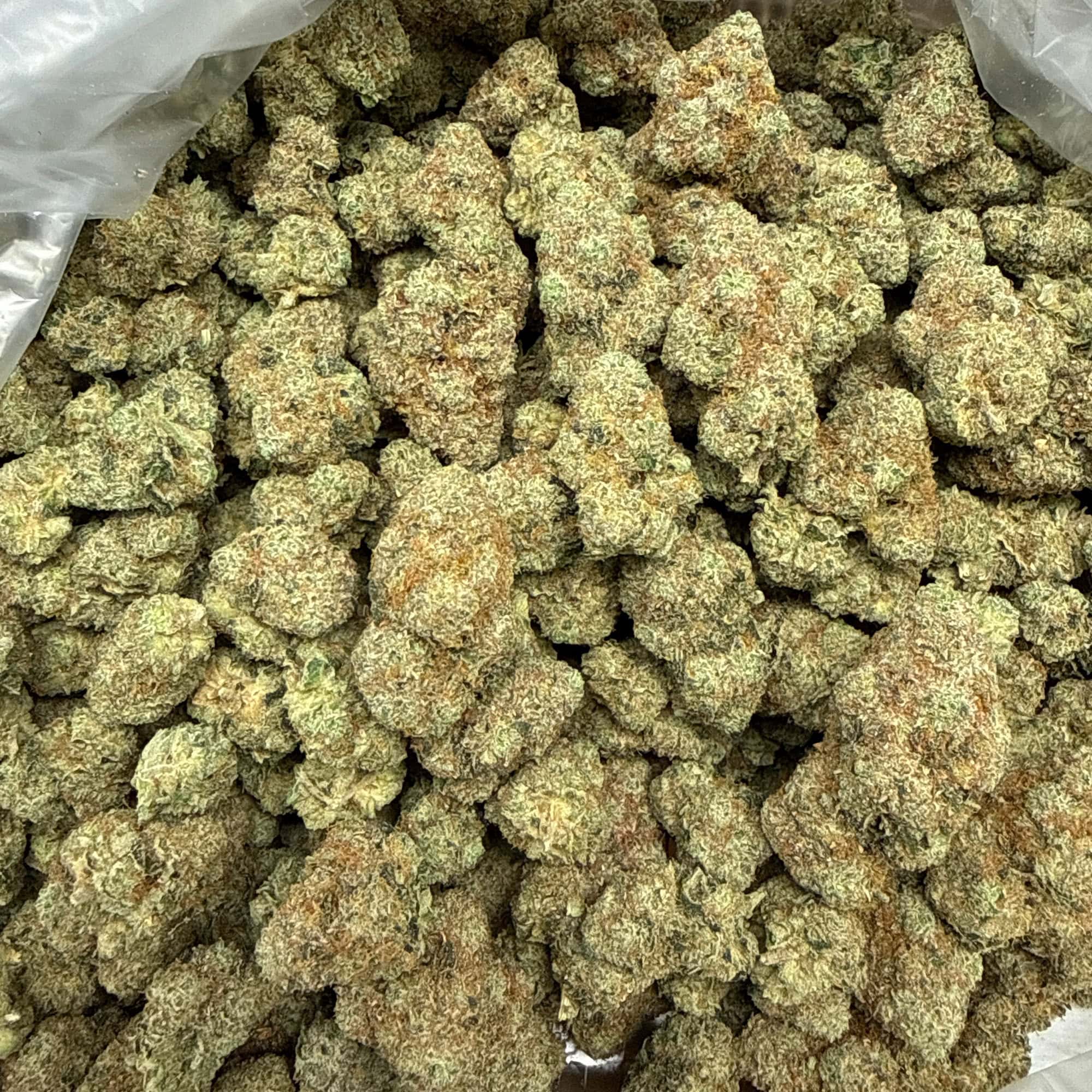 Super Silver Haze THCA Wholesale