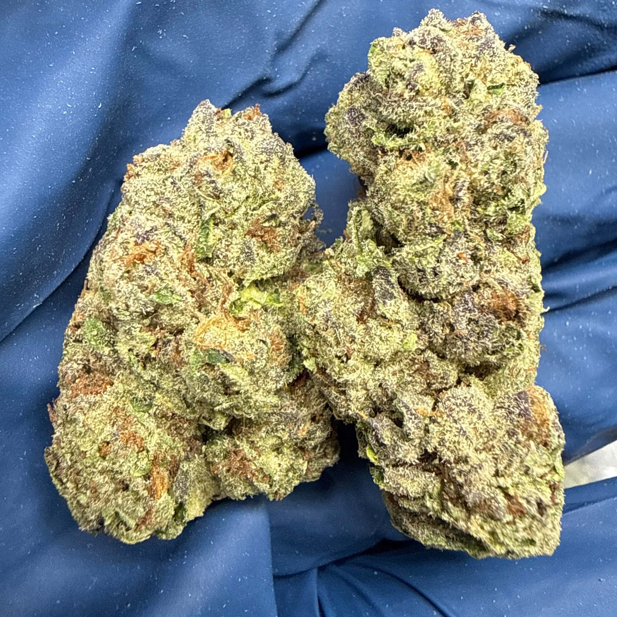 Watermelon Runtz THCA Flower for Sale