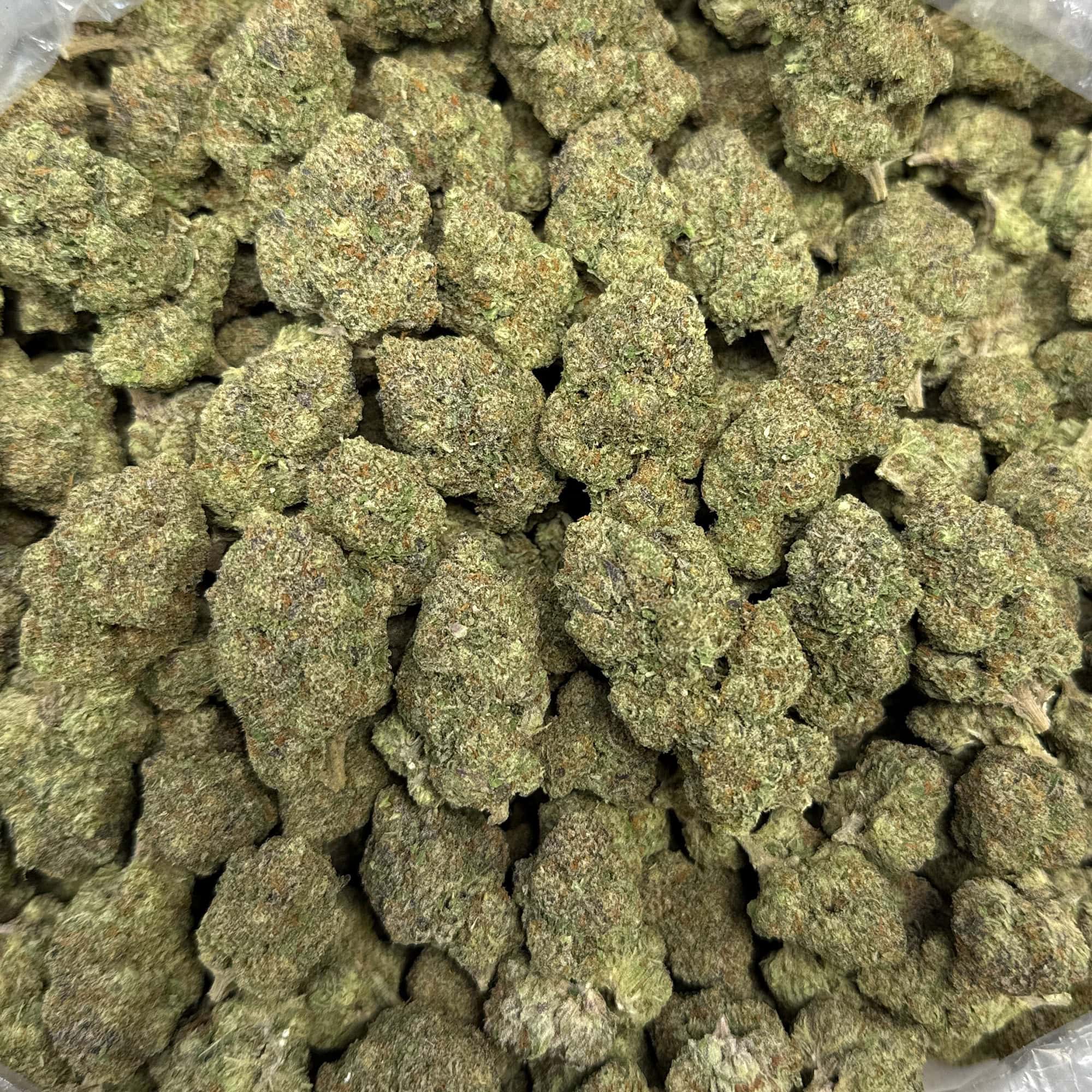 Watermelon Runtz THCA Flower for Sale