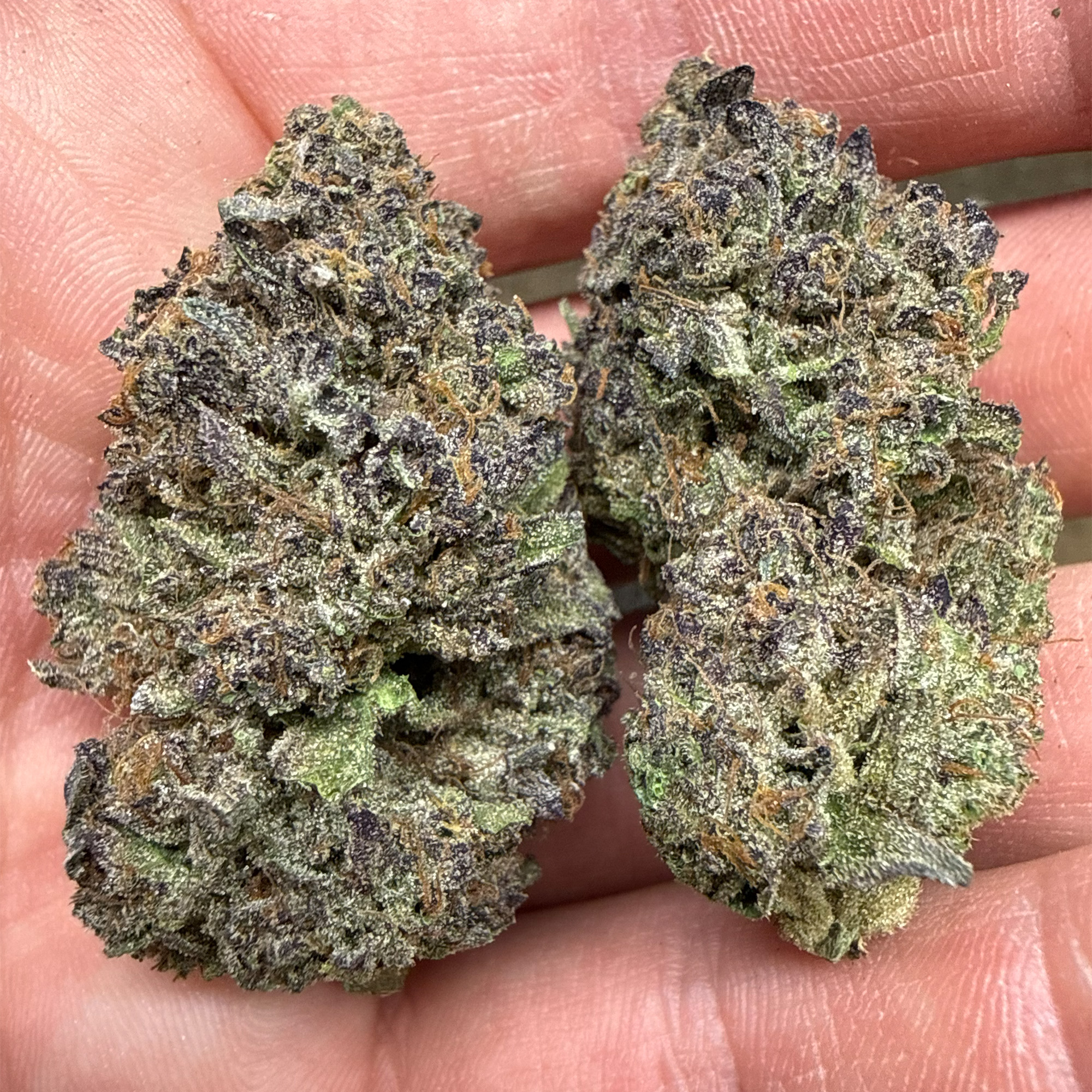 Watermelon Runtz THCA Flower for Sale